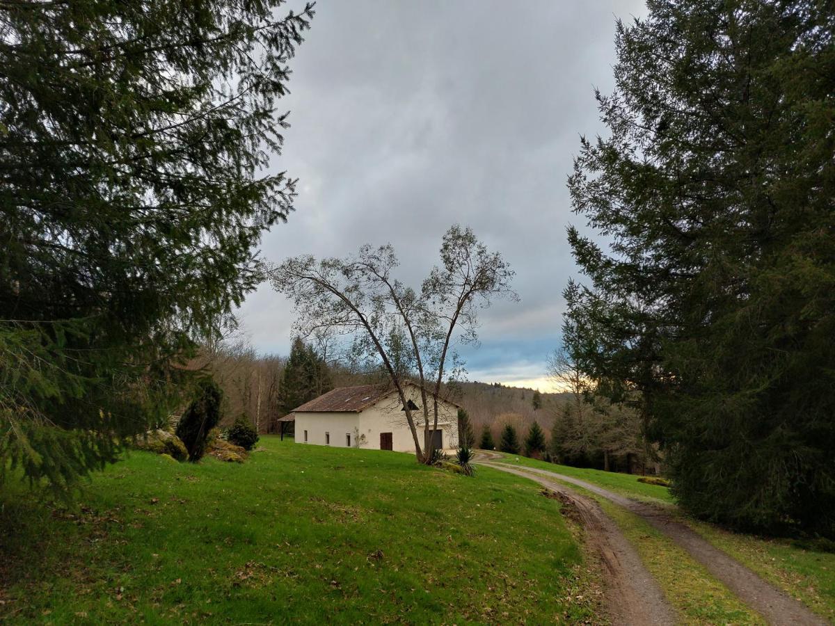 "Le Petit Bonheur" Gite Van 4 Tot 12 Personen Met Prive Vijver Van 2Ha Maisonnais-Sur-Tardoire Exterior photo
